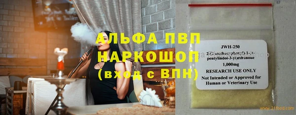 spice Дмитриев