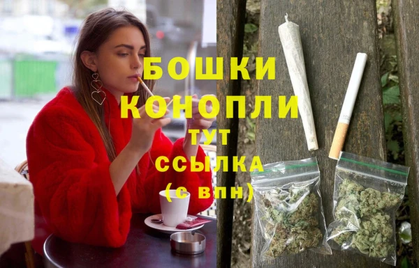 тгк Дмитров
