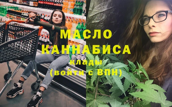 spice Дмитриев