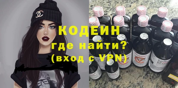 крисы Ельня