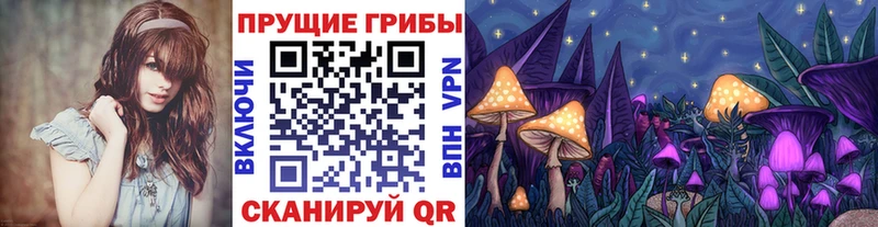 Псилоцибиновые грибы Psilocybe  Купить закладки  Красавино 